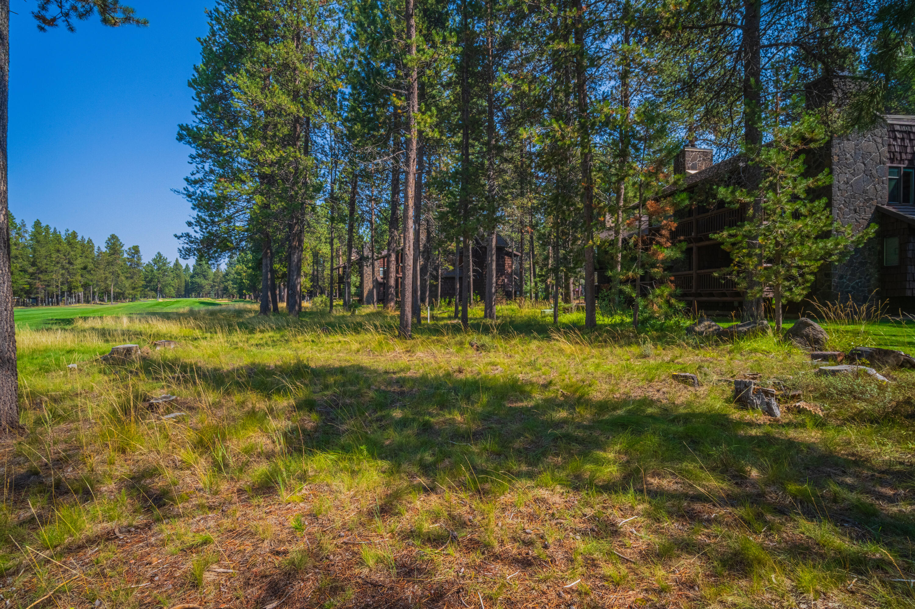 Wildflower - Residential