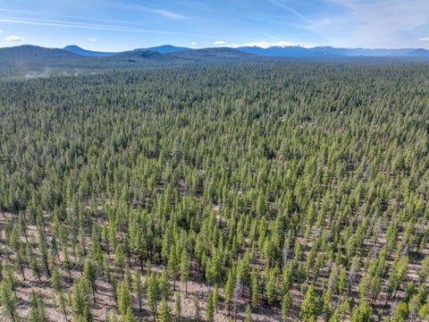 Tiny photo for 15007 Ponderosa Loop, La Pine, OR 97739 (MLS # 220229981)