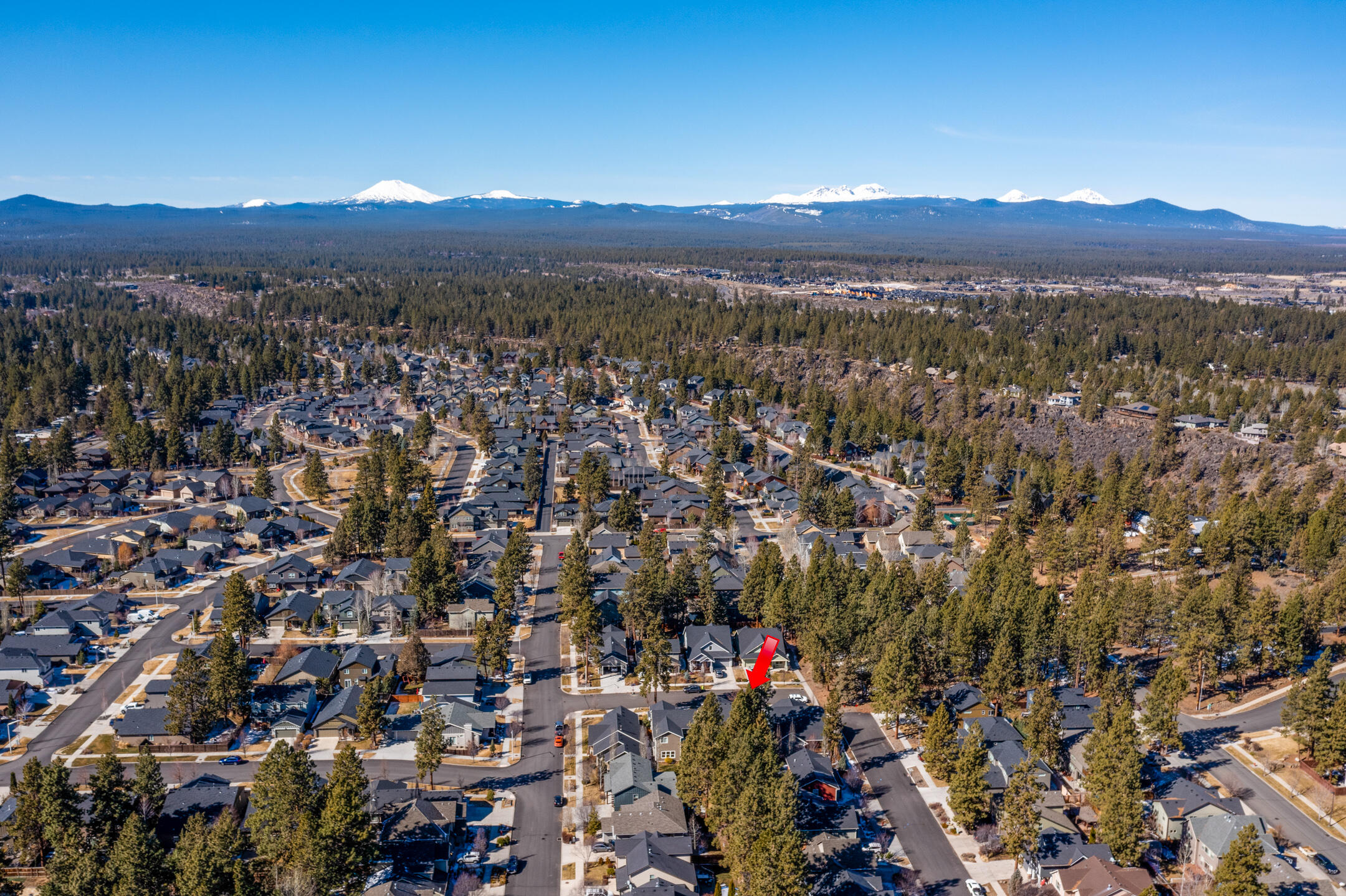 Forest Meadows - Residential