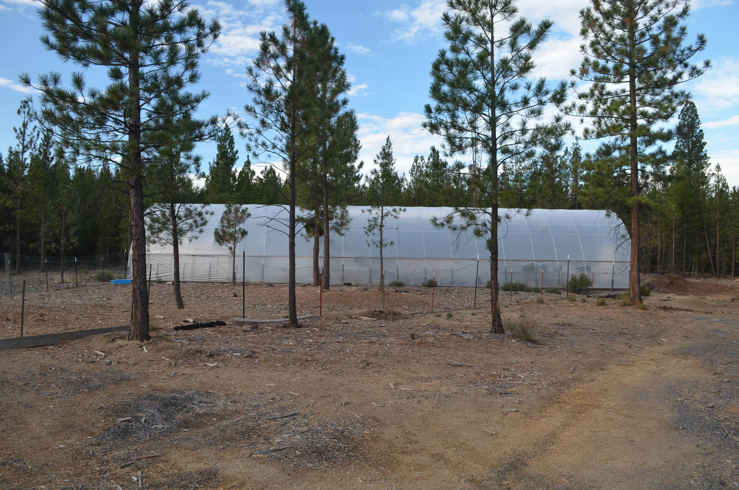 Crescent - Residential