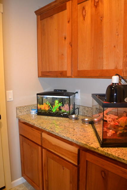 Autumn Crest Subdivision - Residential