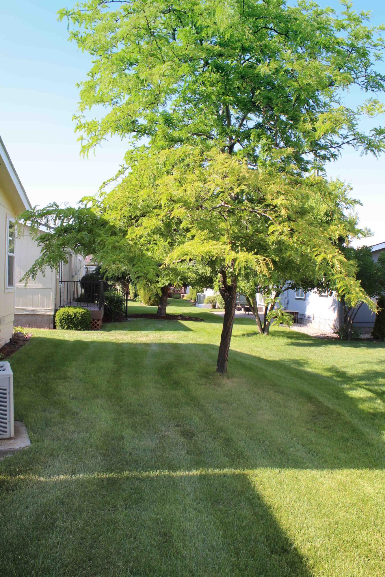 Snowberry Village - Residential