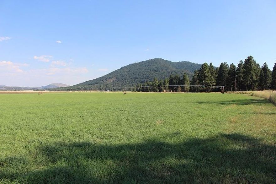 SWAN LAKE FARM 612 productive fenced acres planted to Orchard and Timothy grass, with soils good also for spuds, oats, barley or wheat. Irrigated with two private, secure irrigation wells and 7 pivots. Homestead with mature trees, domestic well, septic and several outbuildings ready for your new home! Farm has 3 large partially enclosed hay barns, paved county road frontage, vast valley and mountain views 14+/- miles from Klamath Falls.