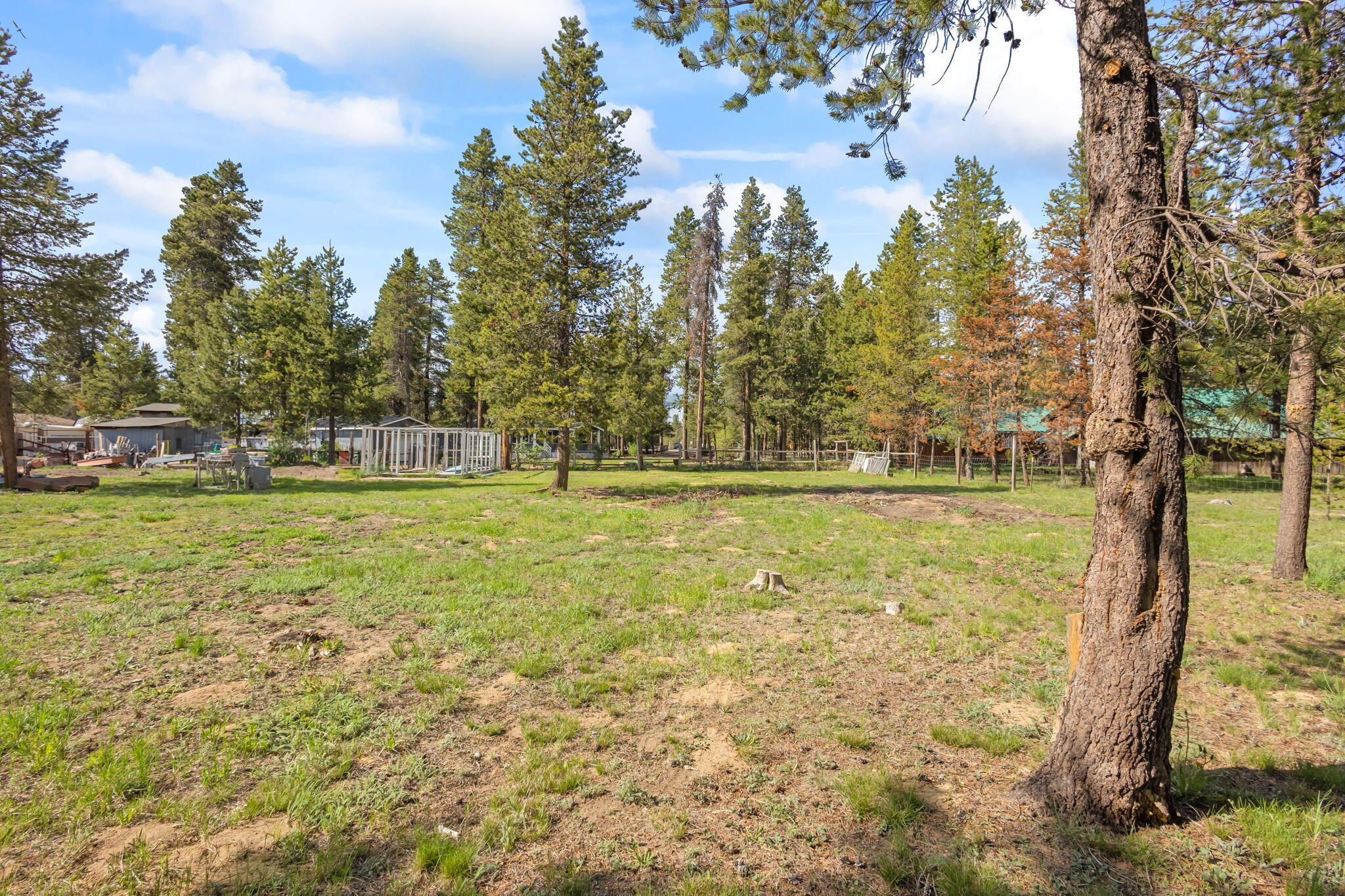 Tall Pines - Residential