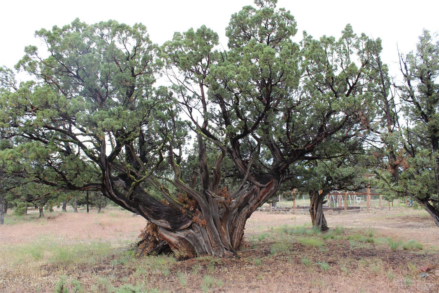 Powell Butte View - Residential