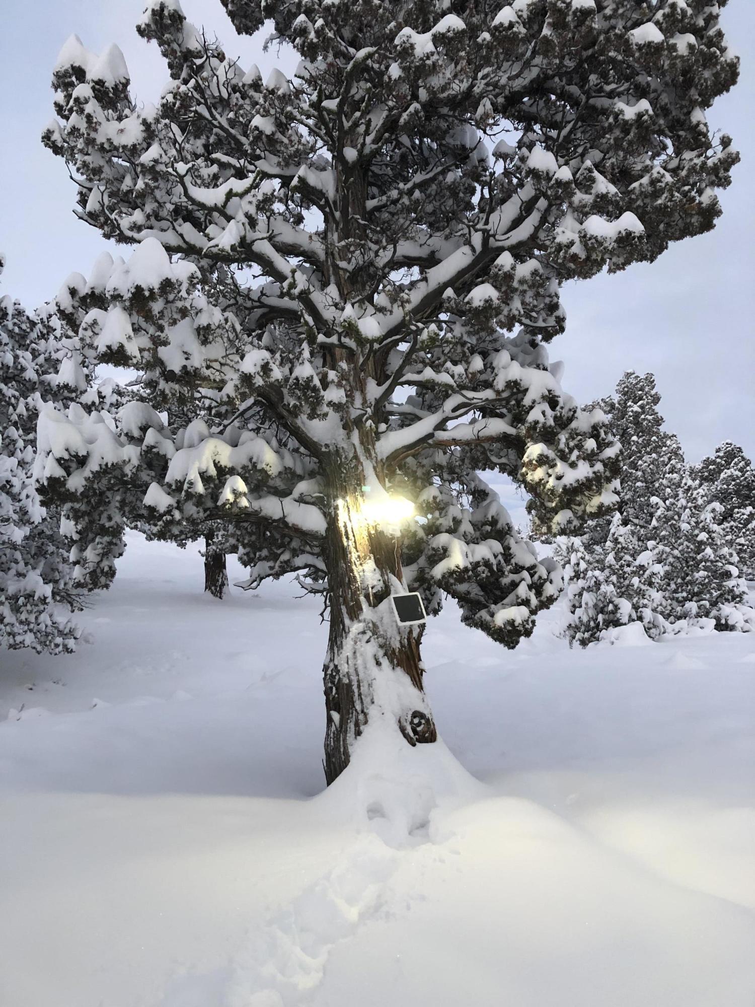 Juniper Acres - Land