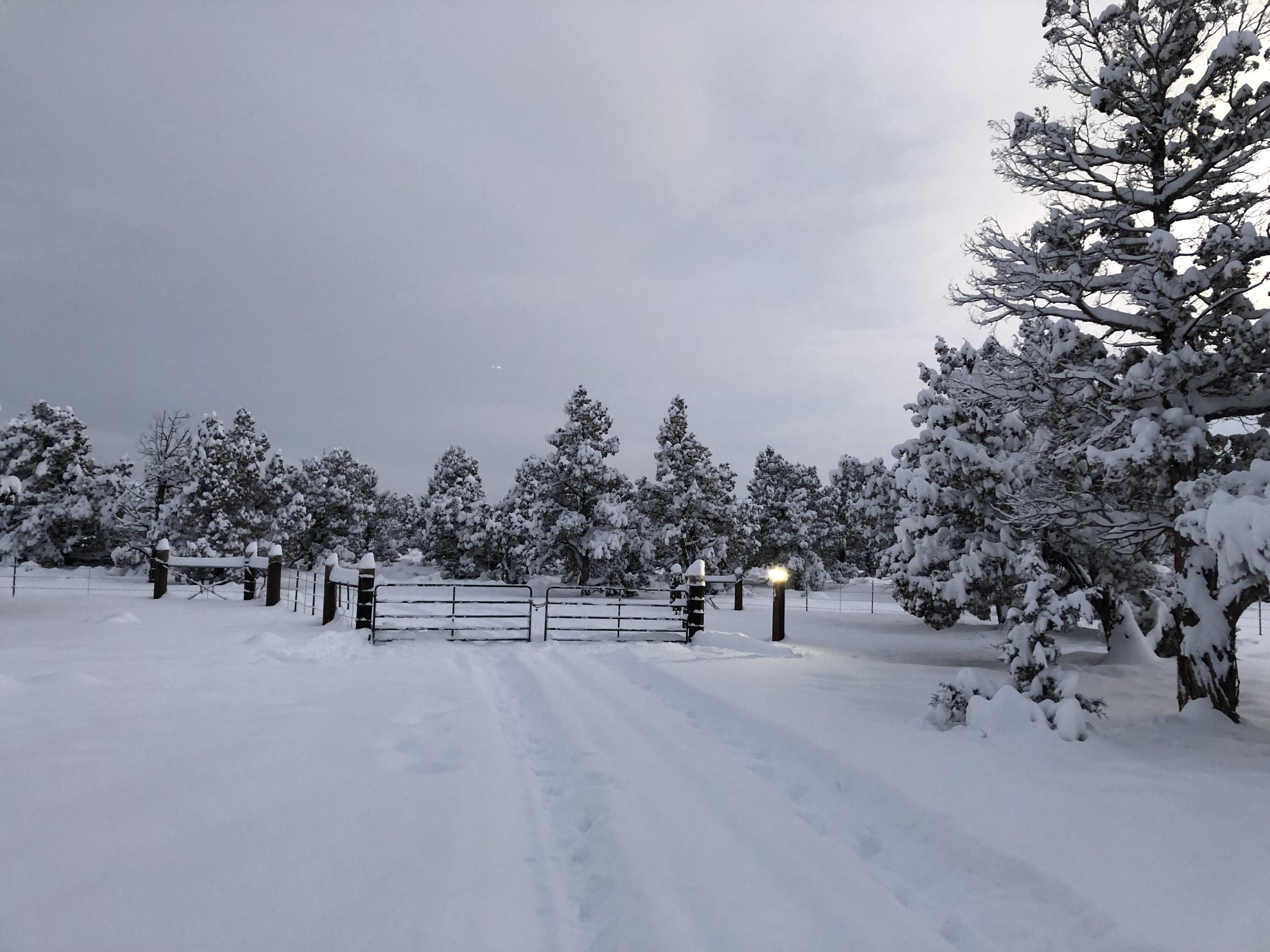 Juniper Acres - Land