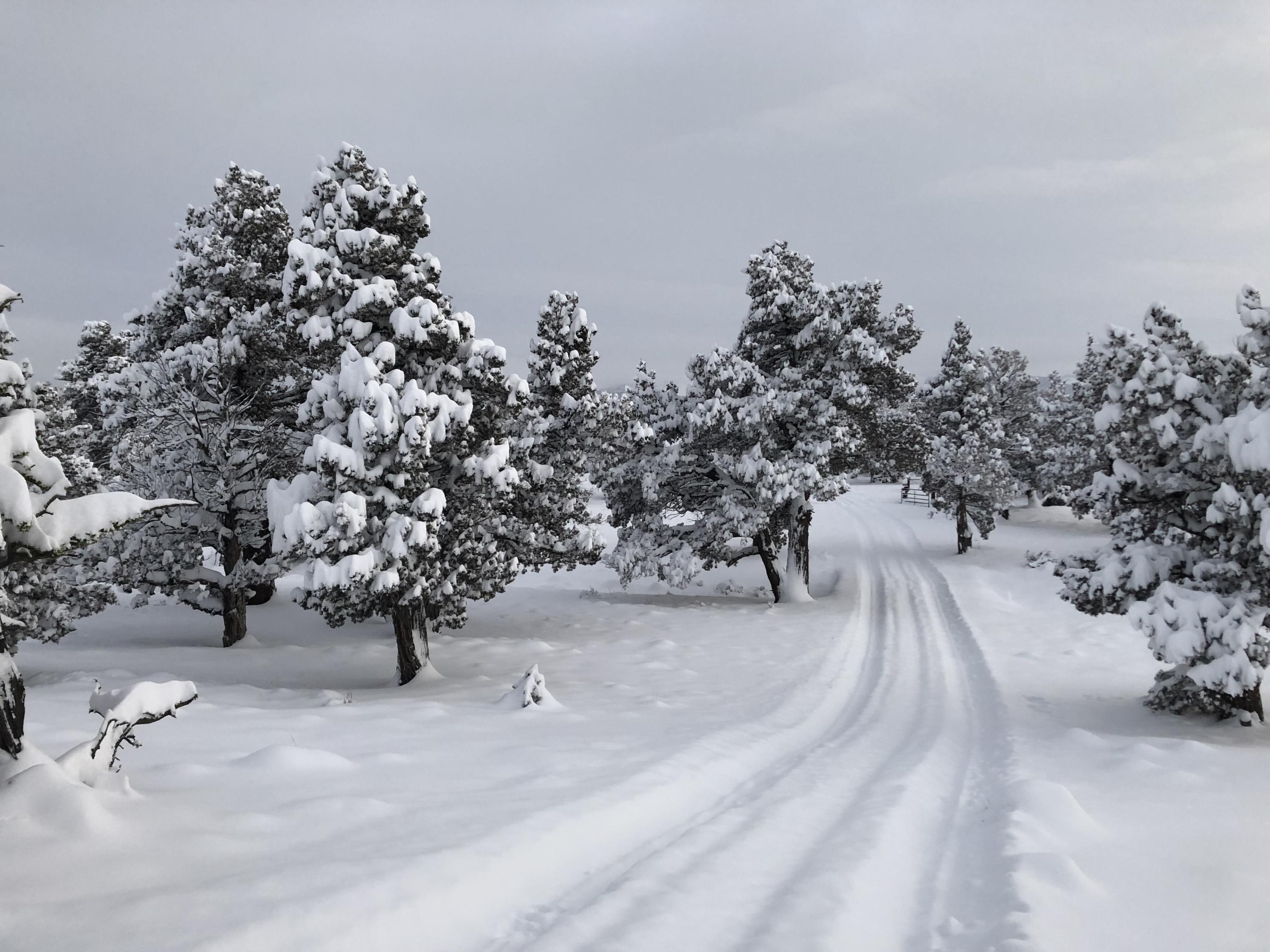 Juniper Acres - Land