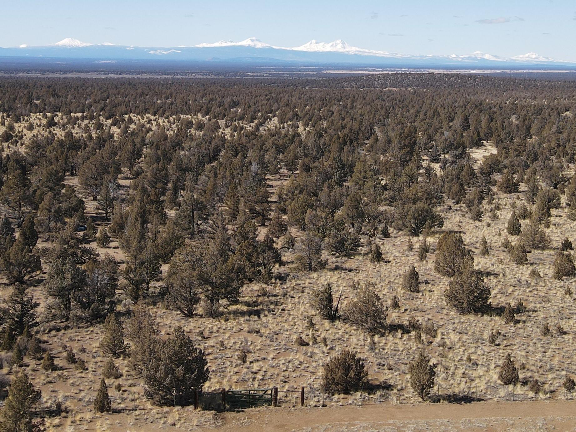 Juniper Acres - Land