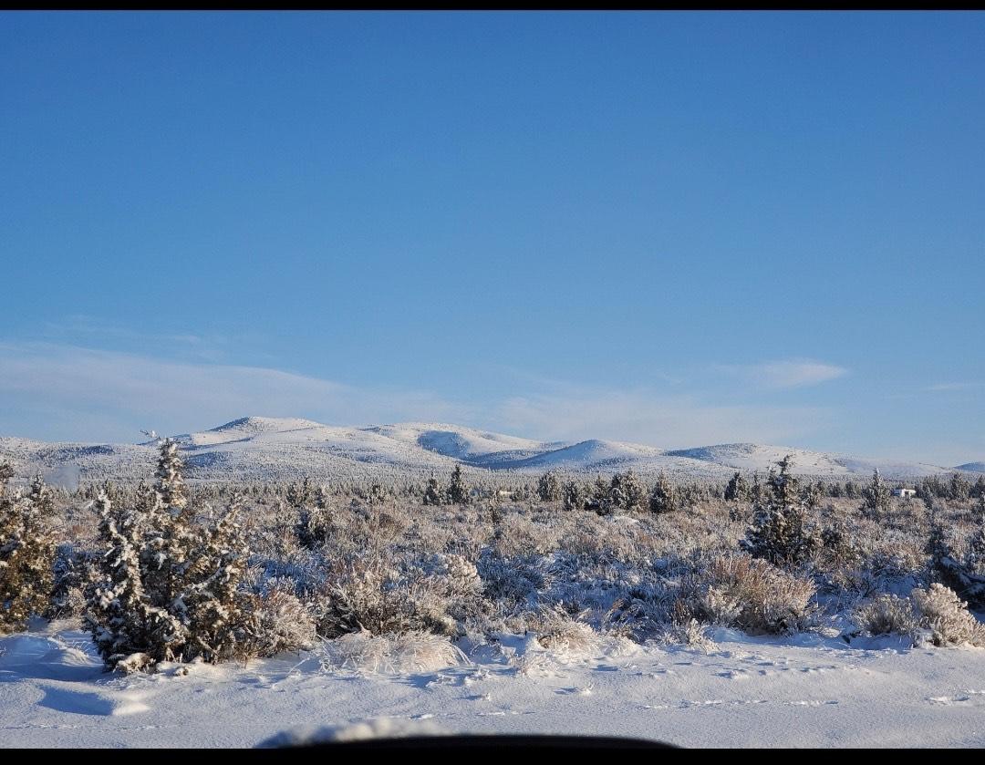 Juniper Acres - Land