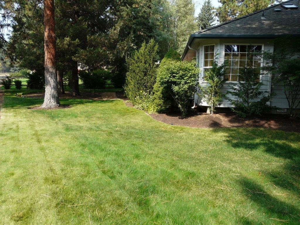 Mtn High - Residential