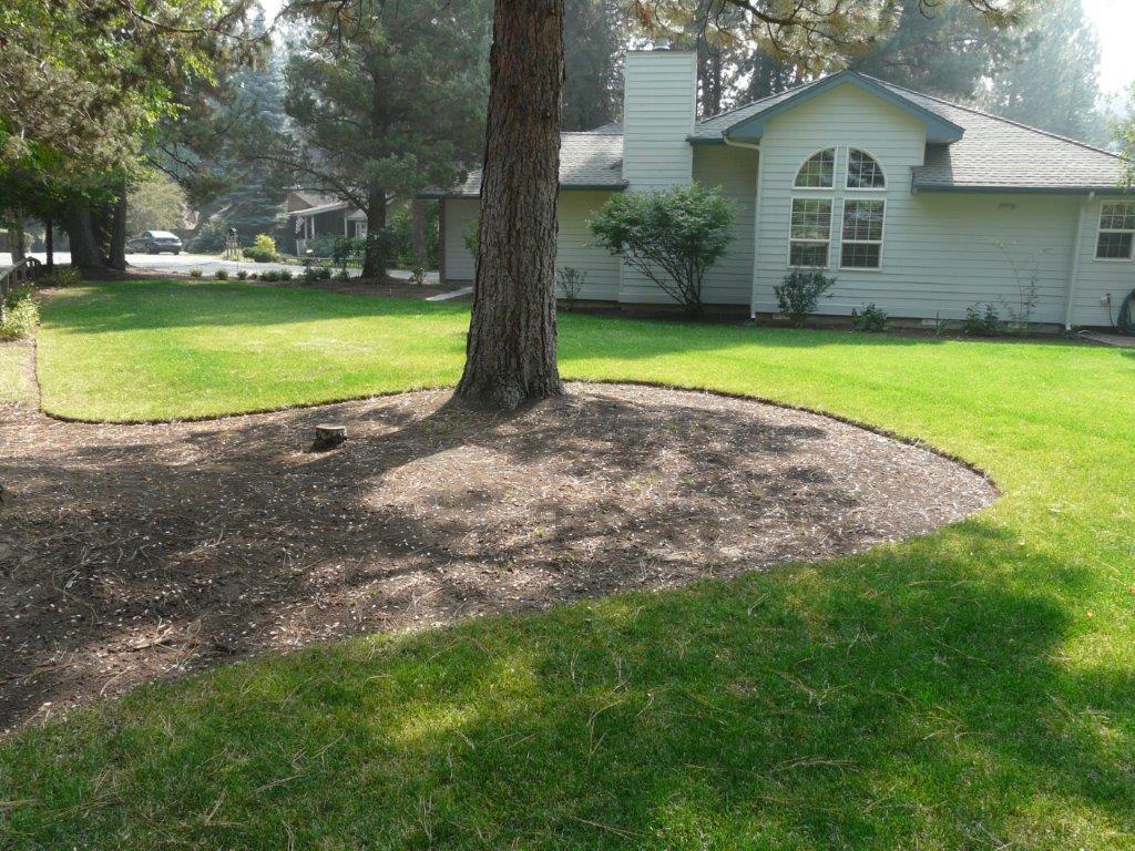 Mtn High - Residential