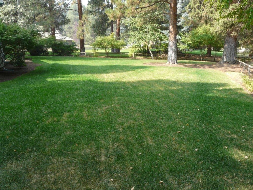 Mtn High - Residential