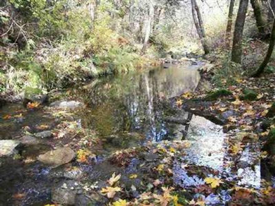 3 Choice Lots Are Poss Per Plng Dept. Westerly End Of Ppty Is Level, Knoll Top Hm Sites Have Possible Views.