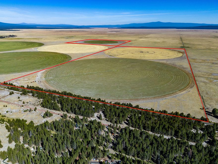 Klamath Marsh irrigated hay and pasture tract convenient to Highway 97 with irrigation well and three center pivots. Currently producing alfalfa hay, wheat/peas for grazing and irrigated pasture. The property is fenced and cross-fenced. Midstate Electric Cooperative supplies 3-Phase power. Chiloquin
schools. Phenomenal views of the Cascade Range to the west and Yamsay Mountain to the east