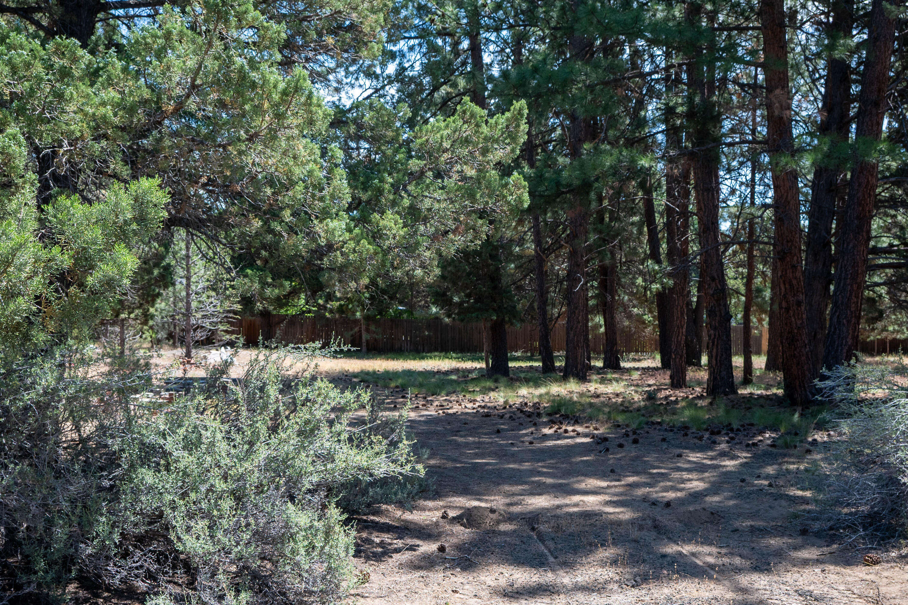 Ambrosia Acres - Land