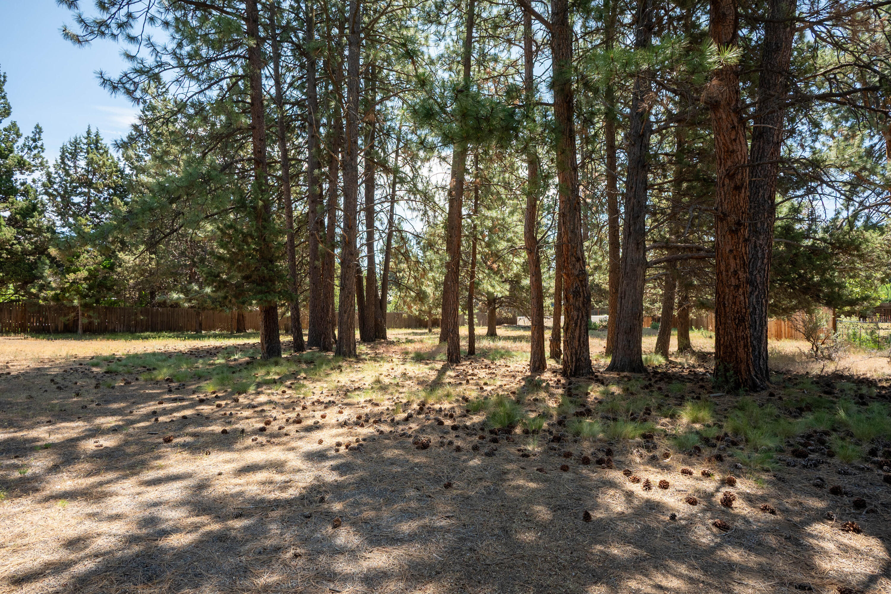 Ambrosia Acres - Land