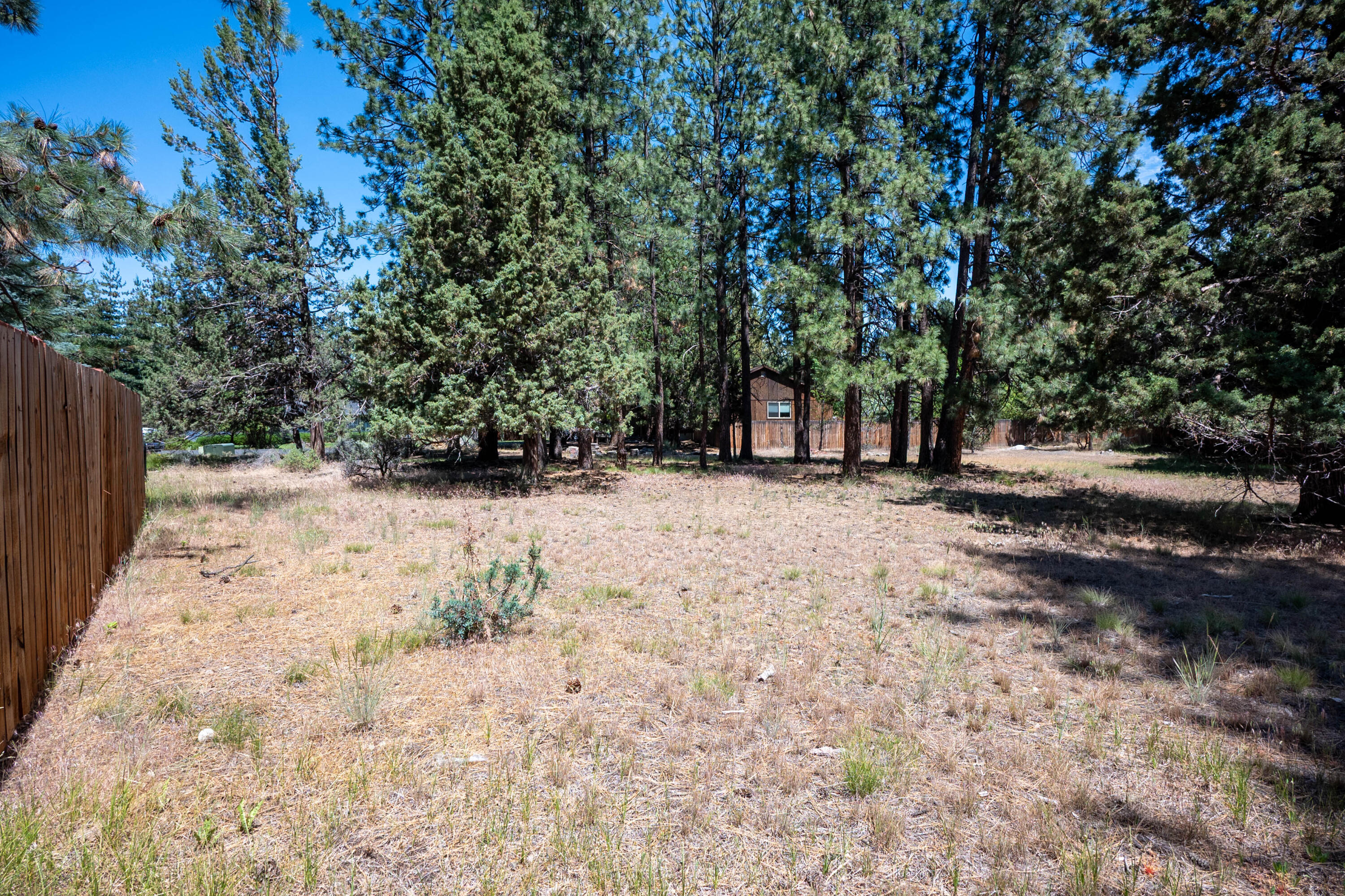 Ambrosia Acres - Land