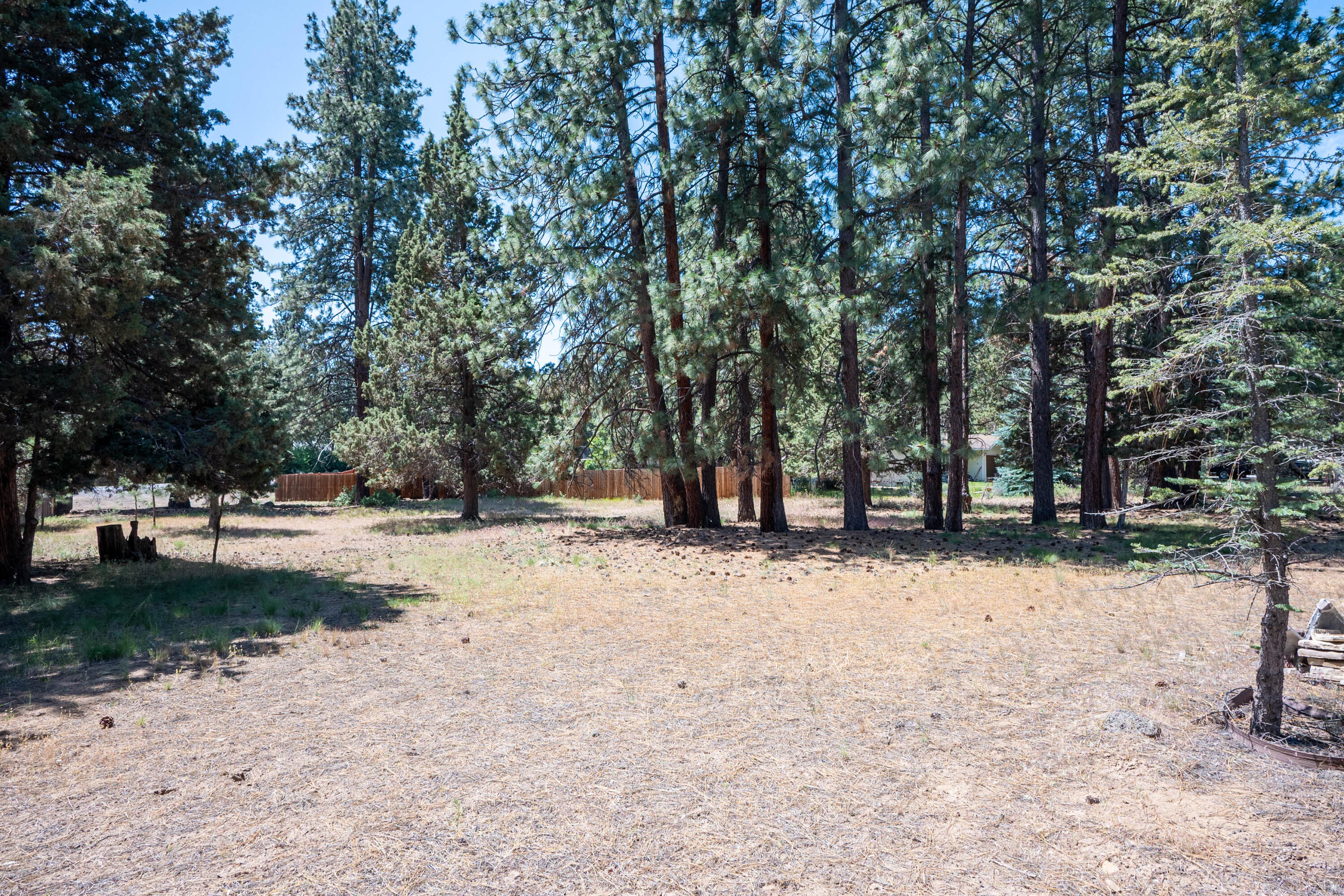 Ambrosia Acres - Land