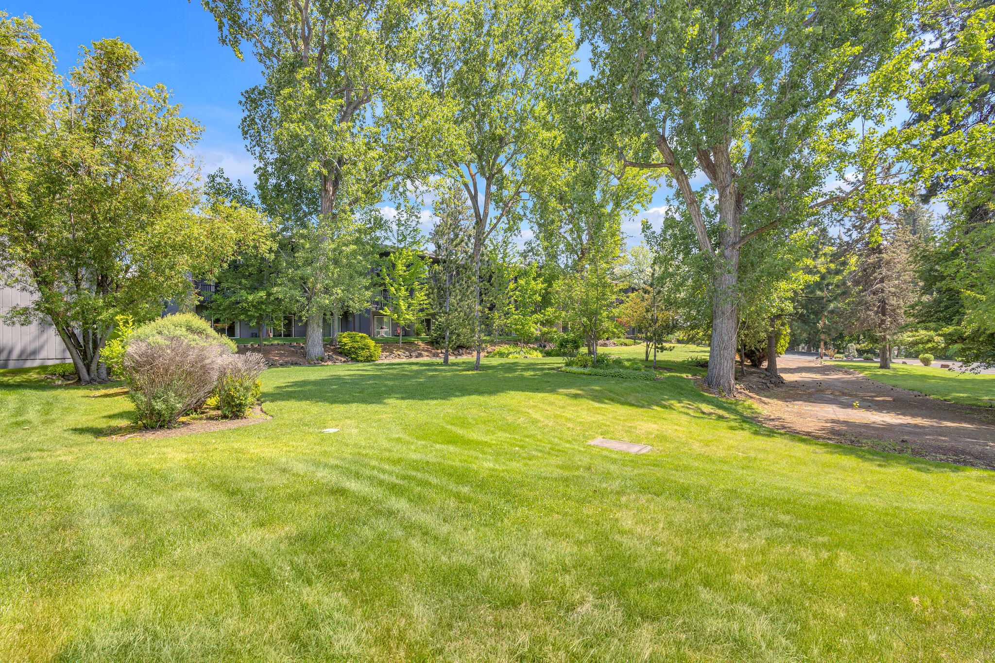 Pioneer Park Condominium - Residential