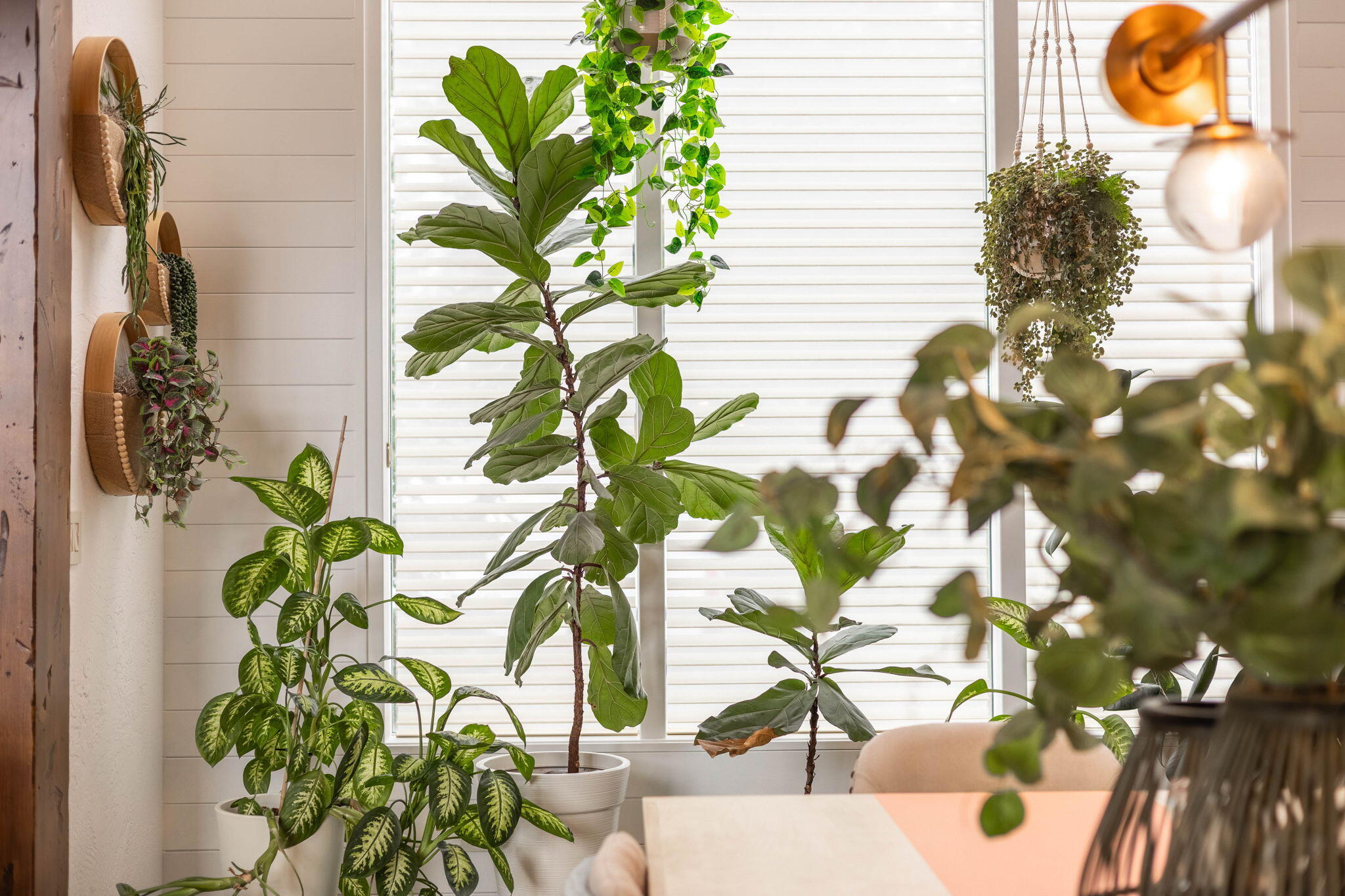 Three Pines - Residential