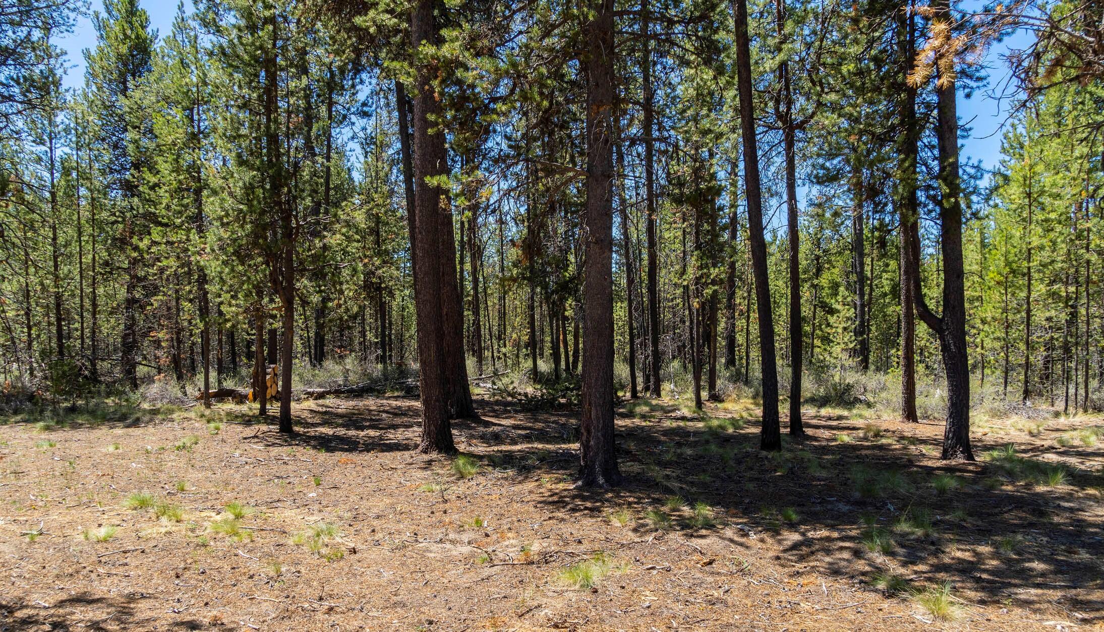 Lazy River West - Land