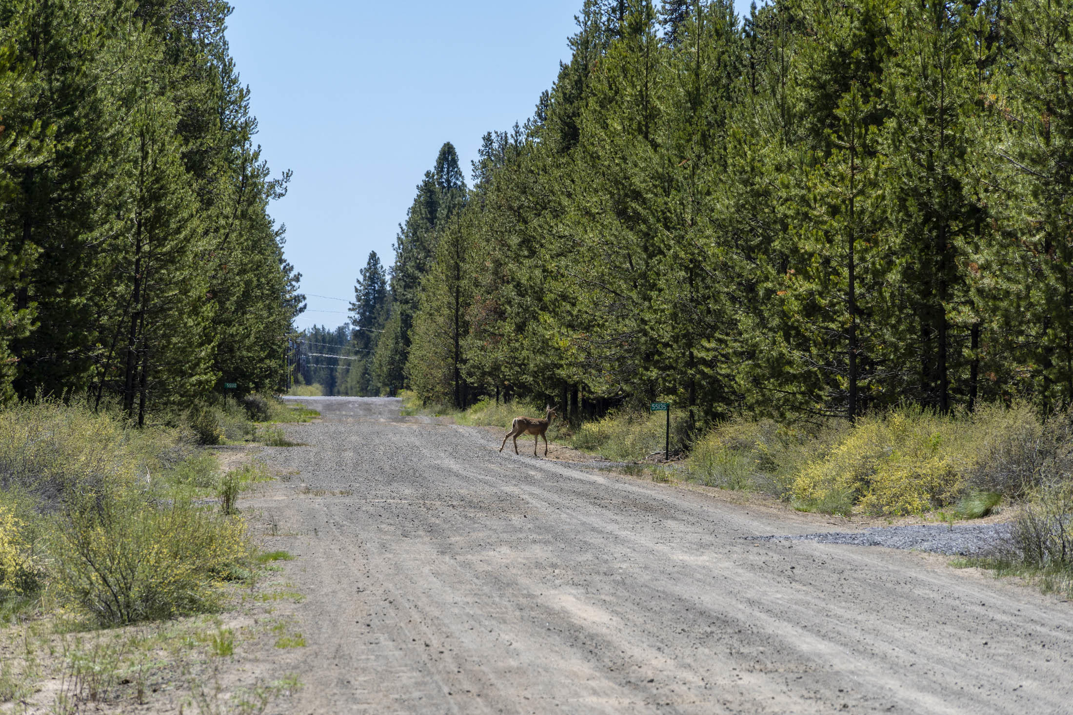 Lazy River West - Land