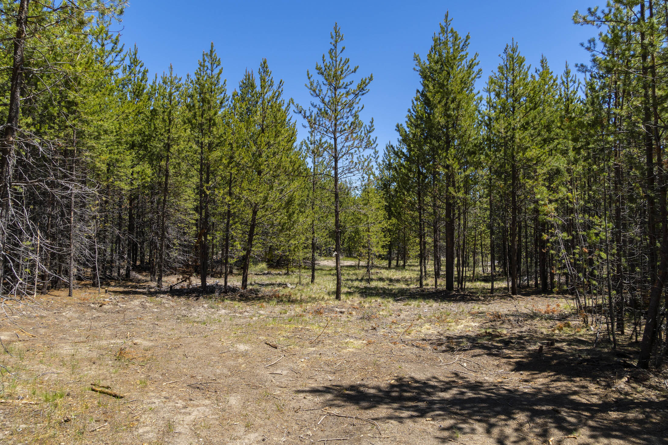 Lazy River West - Land