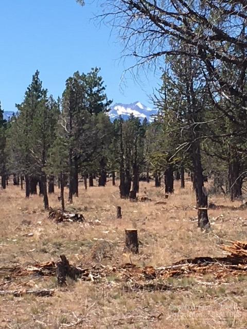 Squaw Creek Canyon - Land