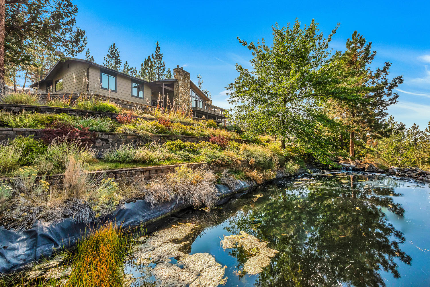 Saddleback - Residential