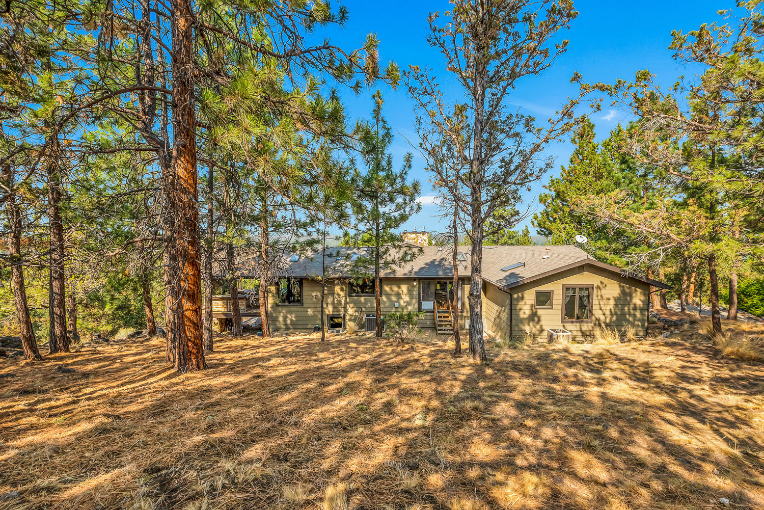 Saddleback - Residential