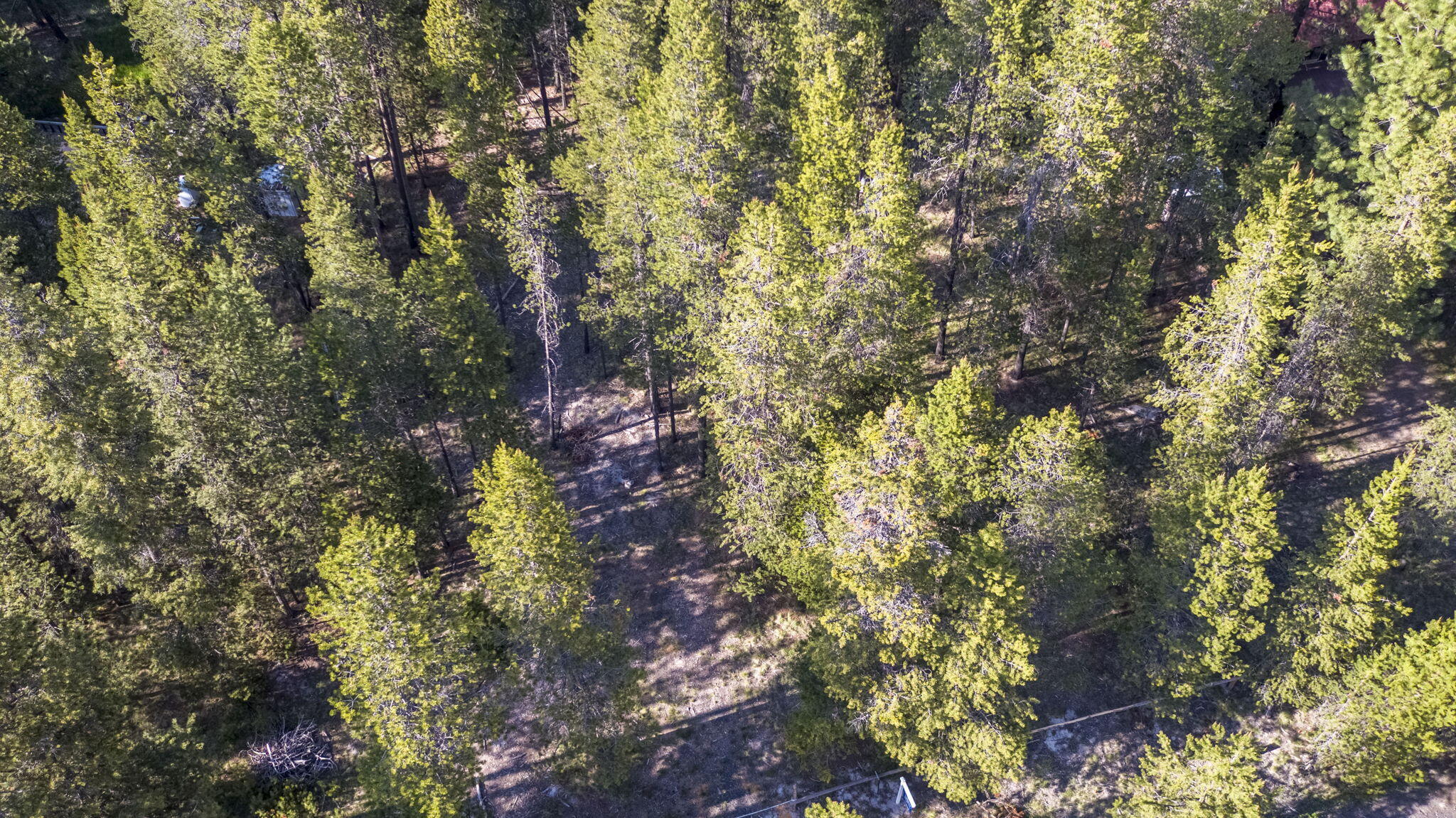 17092 Island Loop Way