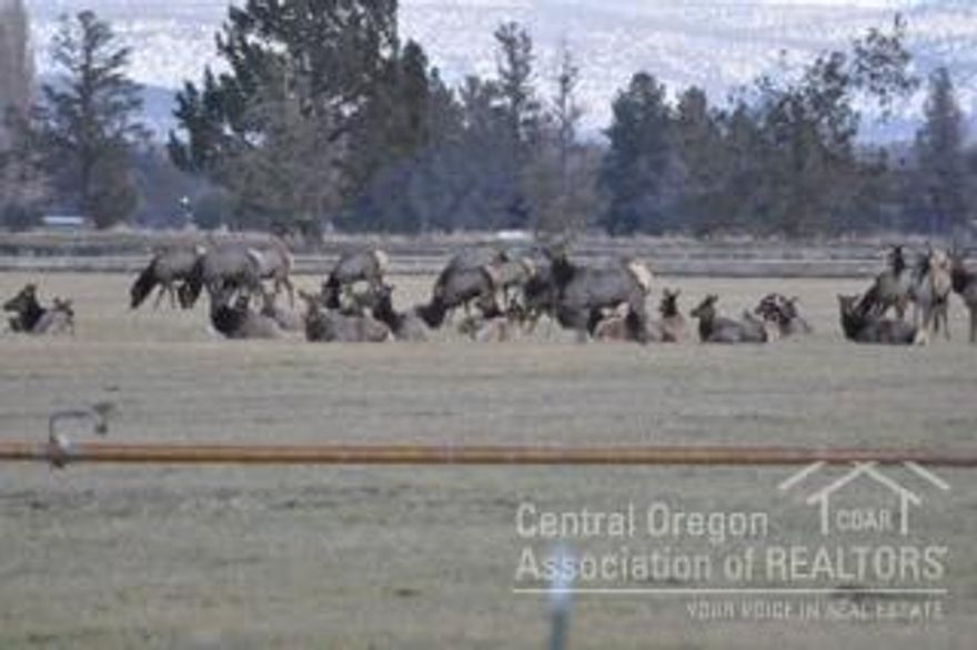Nice level parcel on peaceful dead end road. Very quiet area. Cascade views. Walking access to public, exclusive horse and hiking trails. 15 acres irrigation with great delivery. 10 h.p. pump and wheel line. Orchard grass. Farm equipment included. Newer outbuildings. 10 minutes from Costco. Standard septic approved.