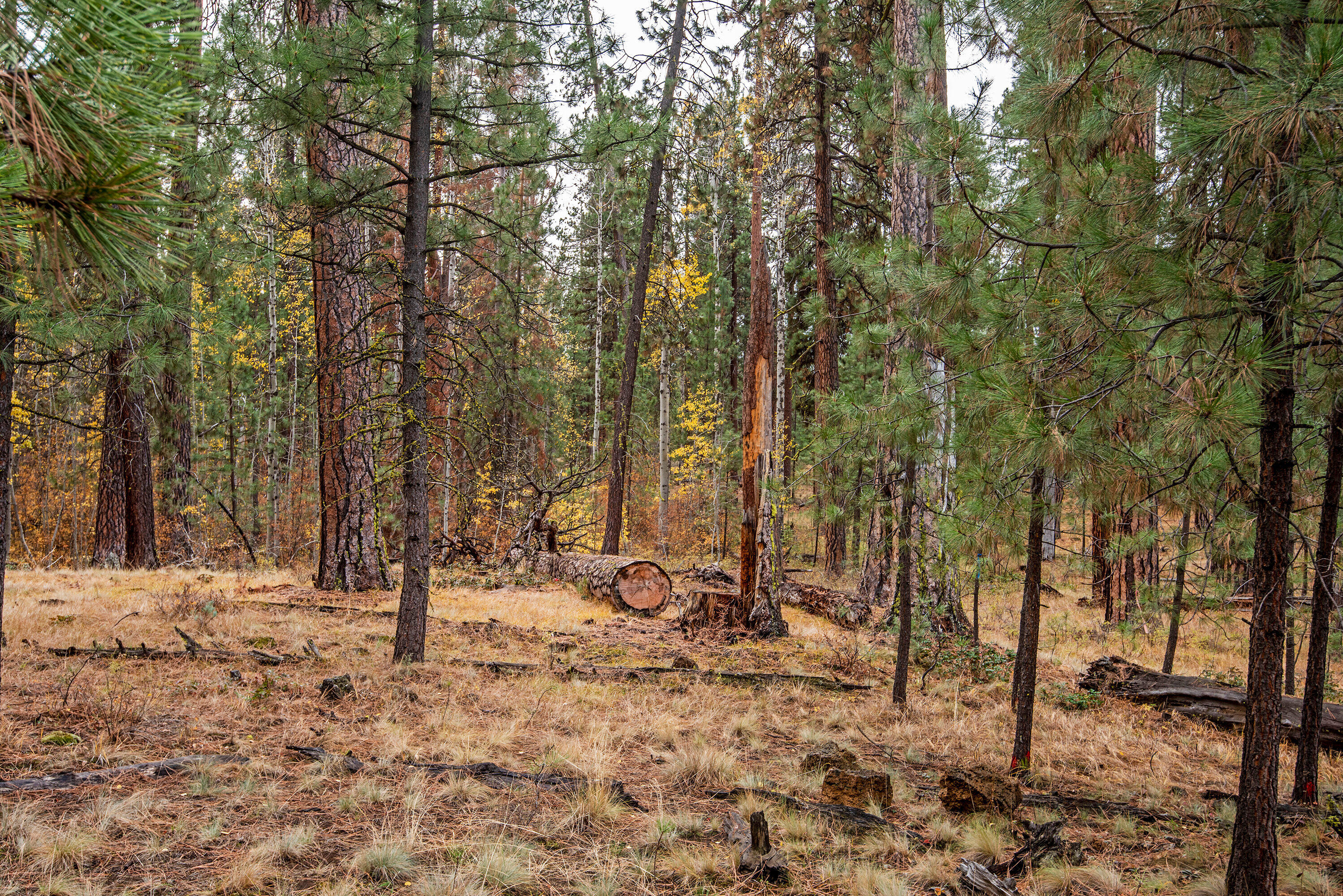 Black Butte Ranch - Residential