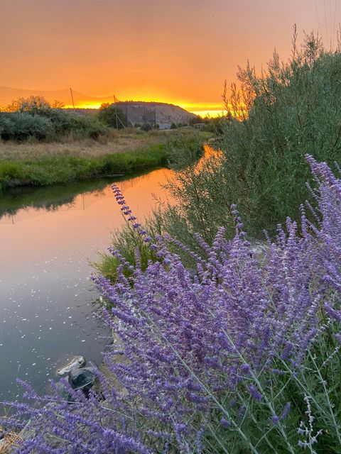 Tiny photo for 715 S Main Street, Prineville, OR 97754 (MLS # 220219161)