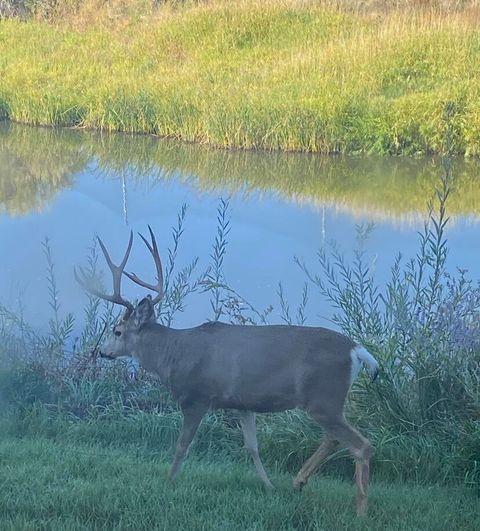 Tiny photo for 715 S Main Street, Prineville, OR 97754 (MLS # 220219161)