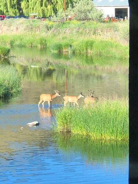 Tiny photo for 715 S Main Street, Prineville, OR 97754 (MLS # 220219161)