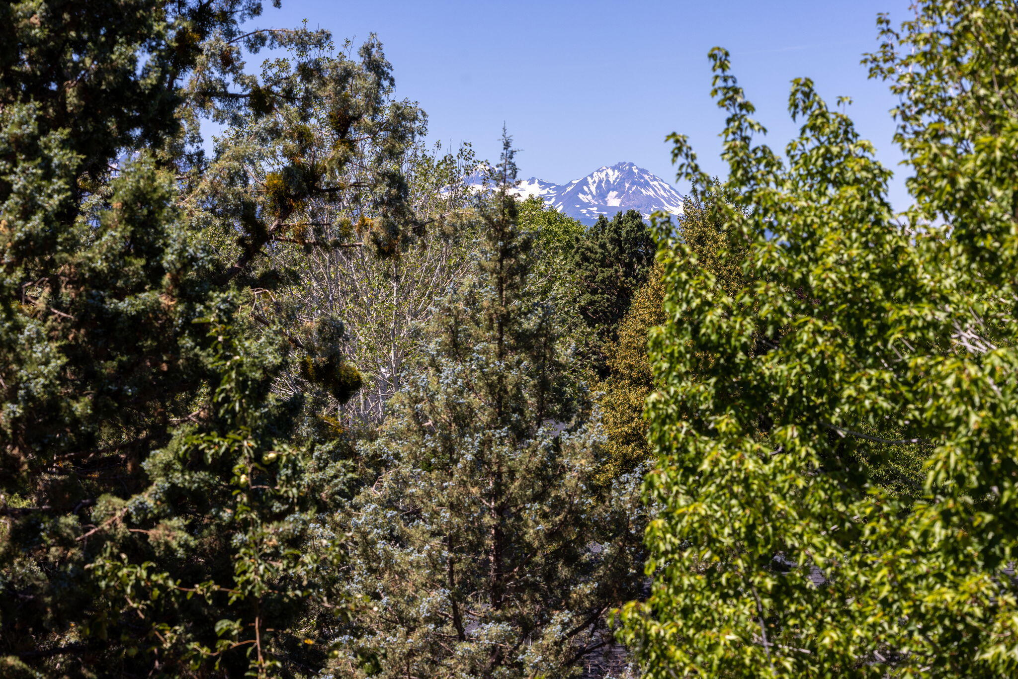 Boulder Ridge - Residential