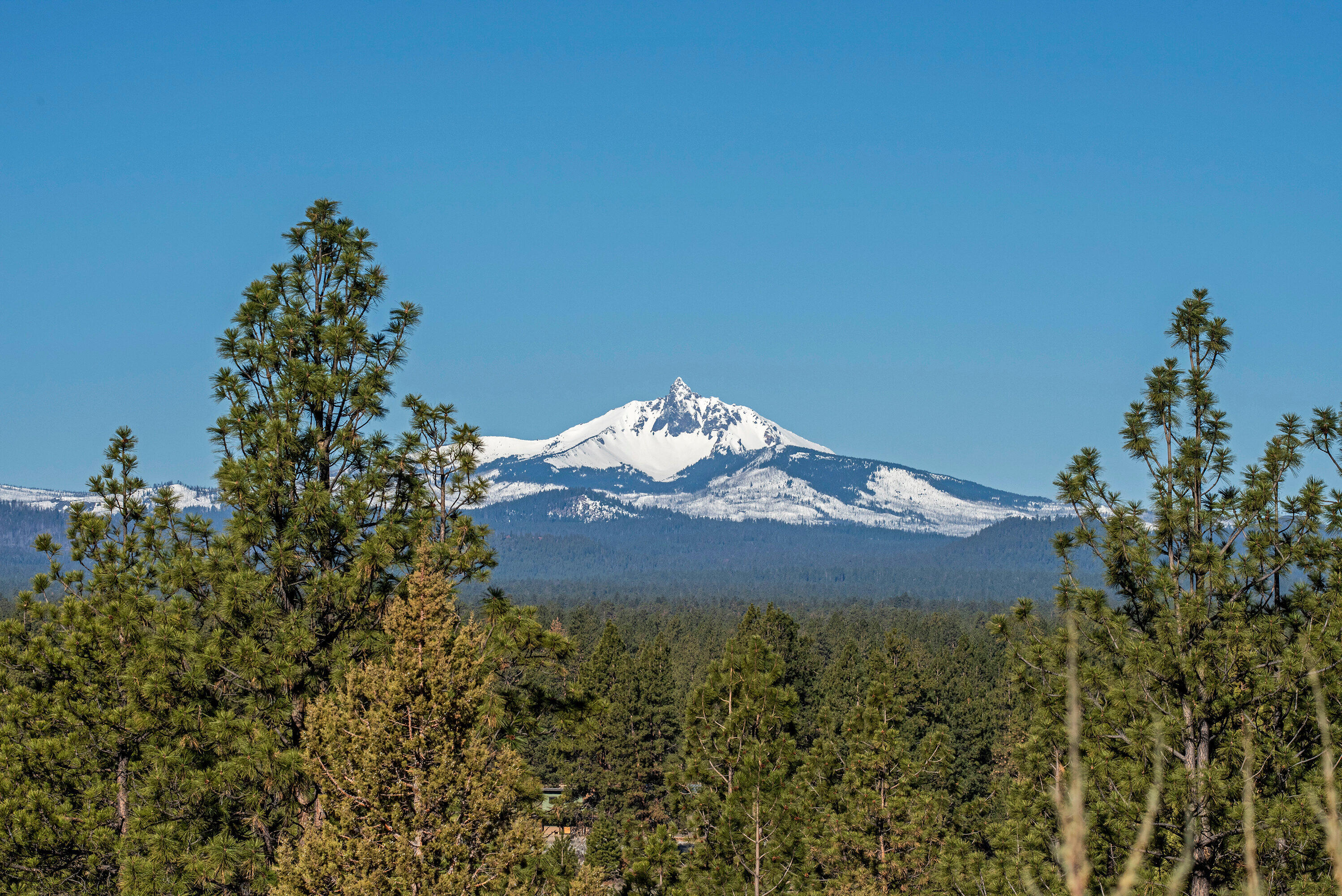 Barclay Place - Residential