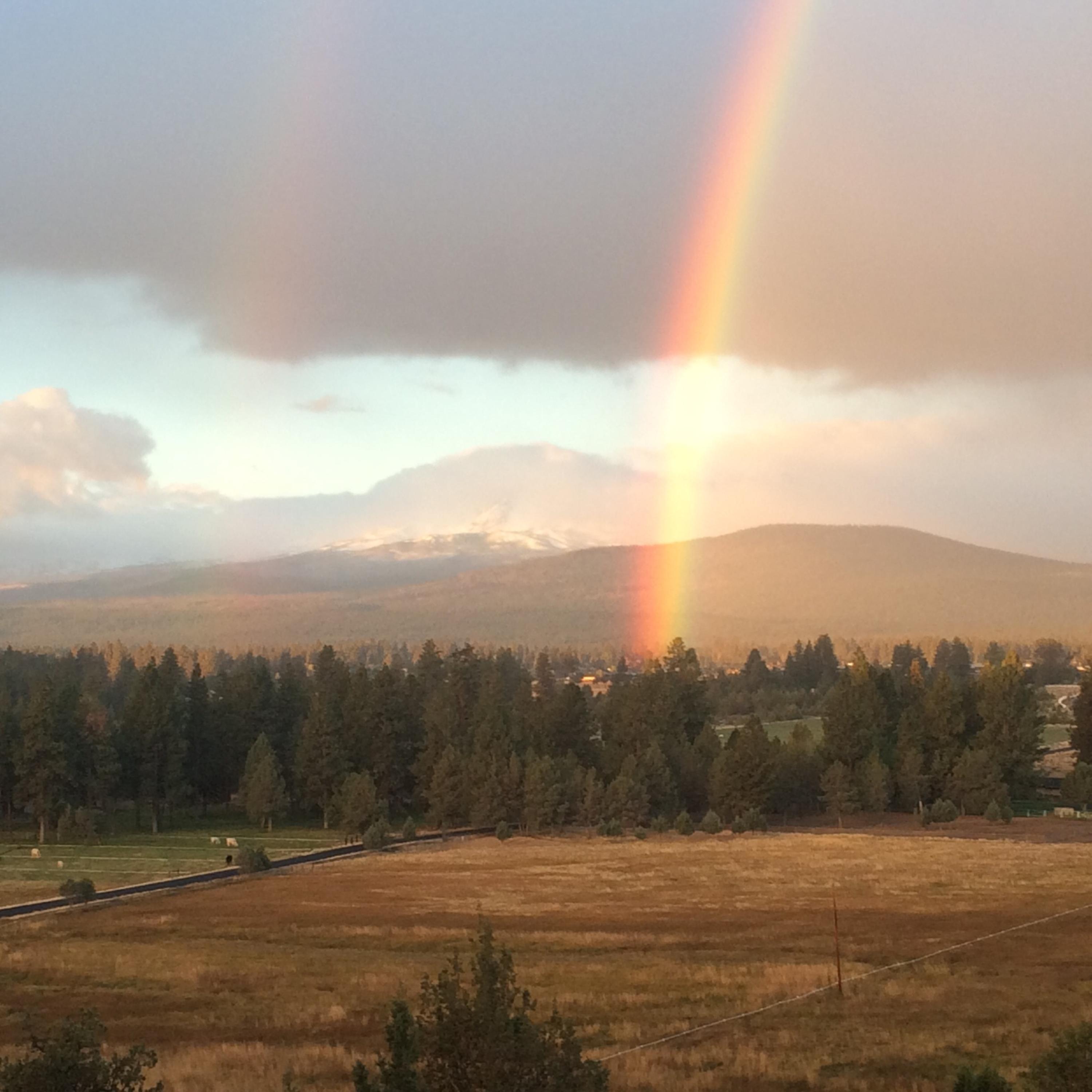 Barclay Place - Residential