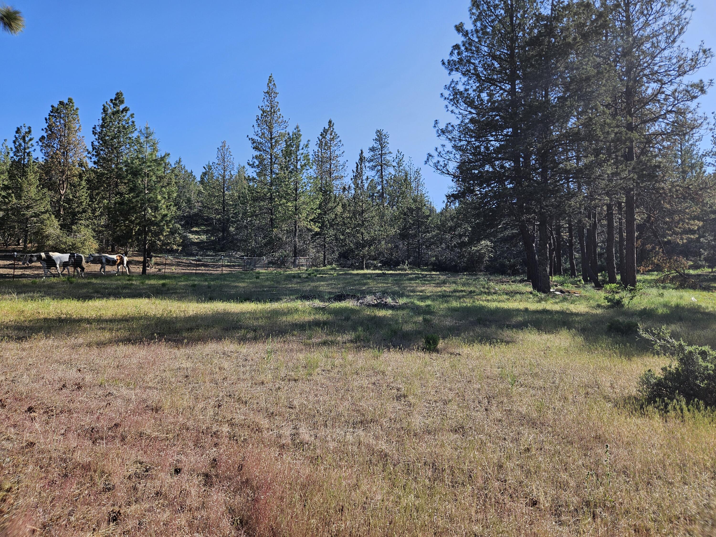 Klamath Falls Forest Estates -Hwy 66 Unit -Plat No. 2 - Residential
