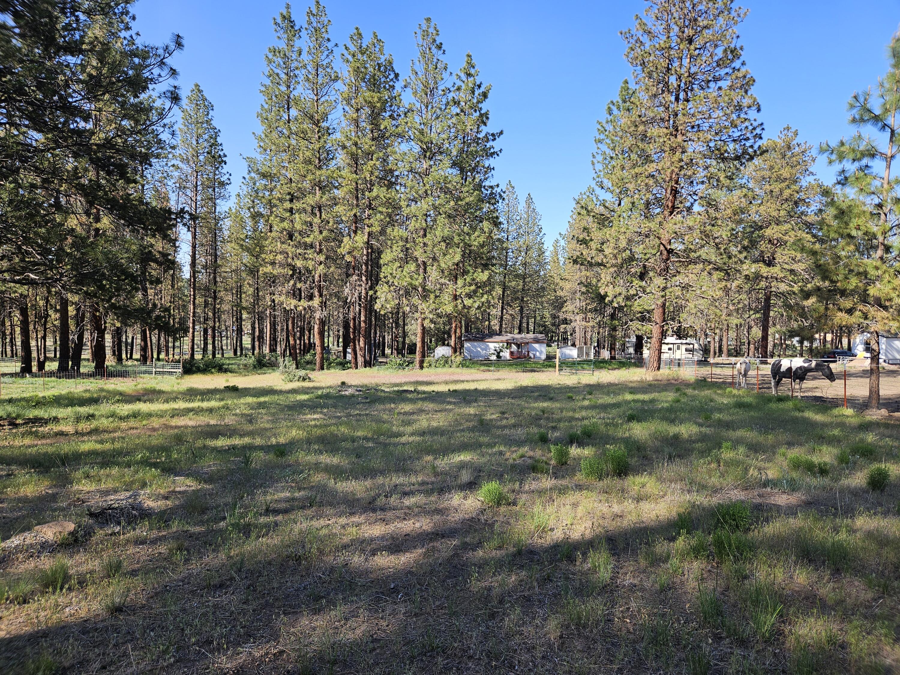 Klamath Falls Forest Estates -Hwy 66 Unit -Plat No. 2 - Residential