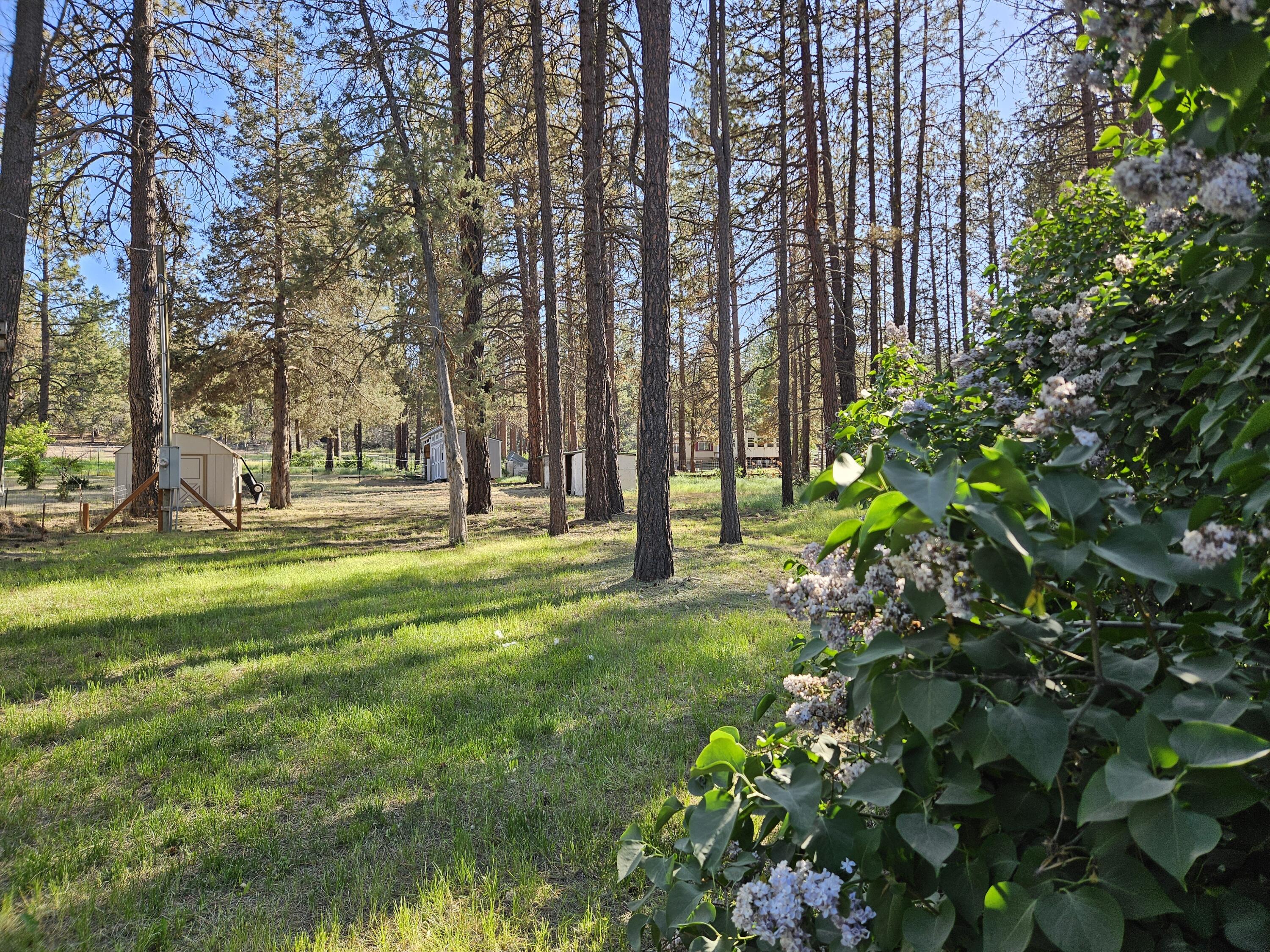 Klamath Falls Forest Estates -Hwy 66 Unit -Plat No. 2 - Residential