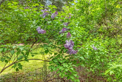 Tiny photo for 9105 W Evans Creek Road, Rogue River, OR 97537 (MLS # 220219777)