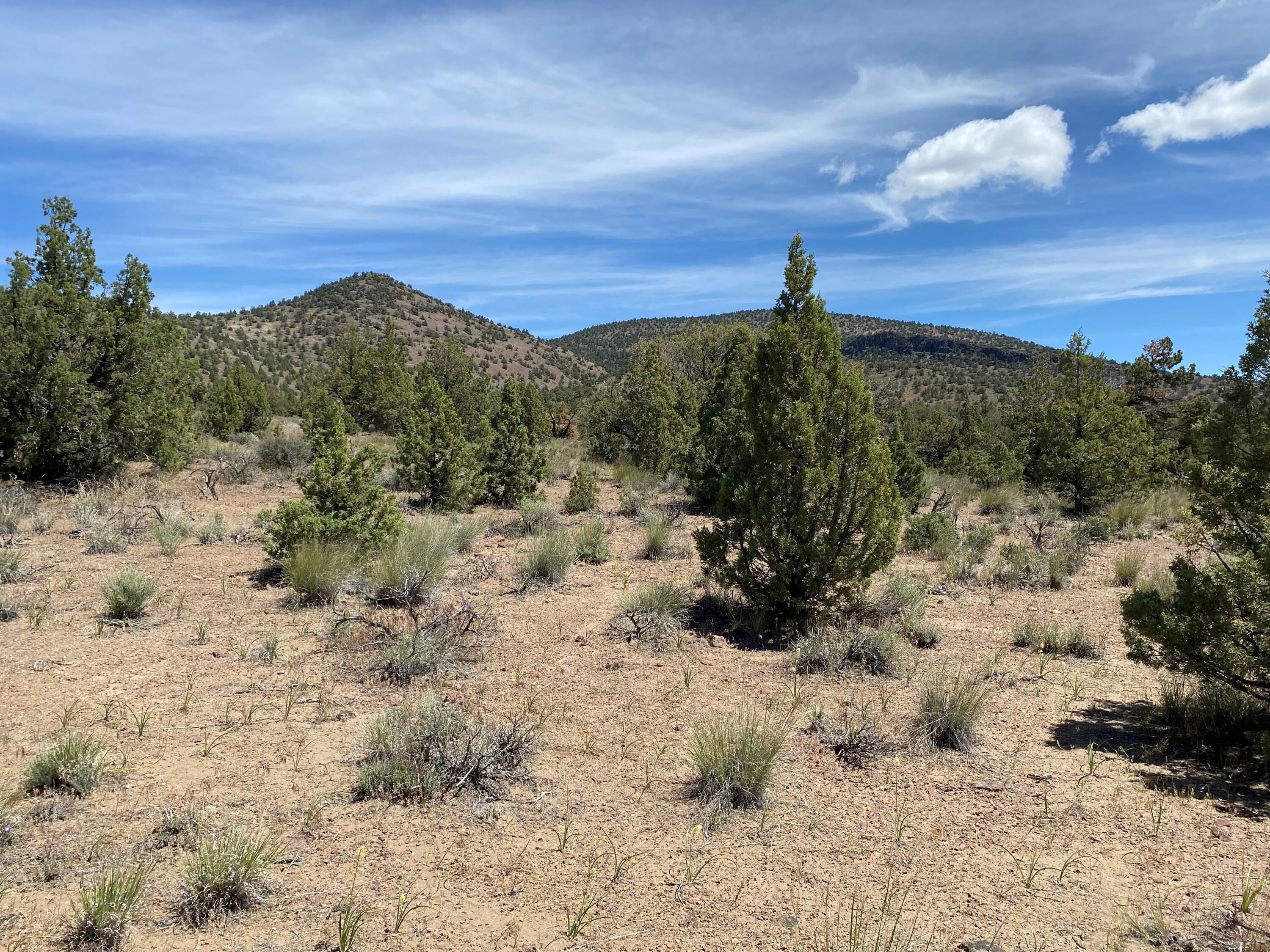 SW Spirit Rock Drive Homesite 721