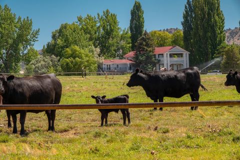 Tiny photo for 59047 Old Lake Road, Christmas Valley, OR 97641 (MLS # 220217220)