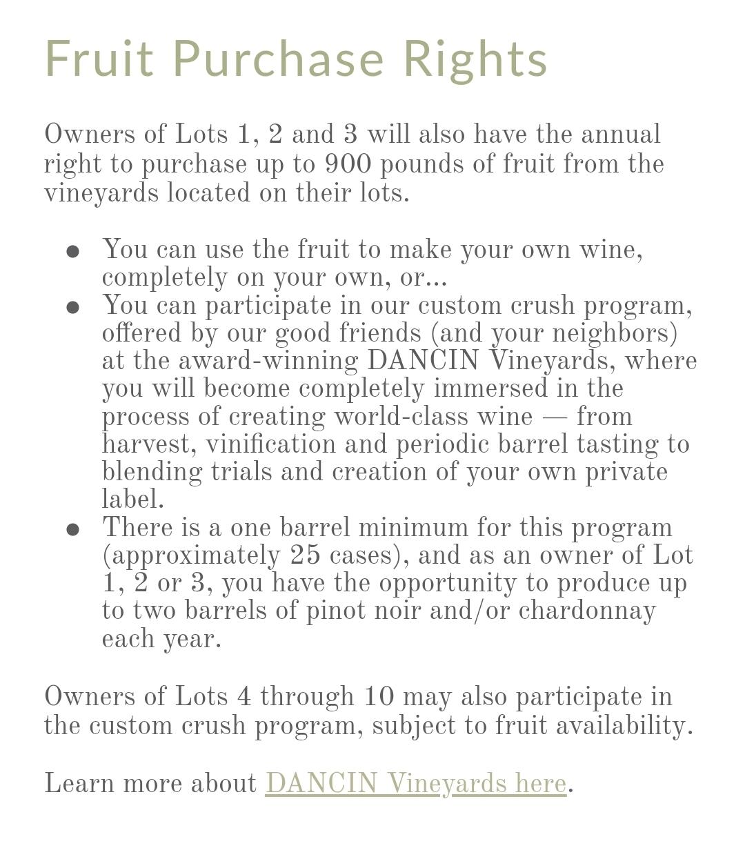 Vineyards At Stage Pass, The - Land