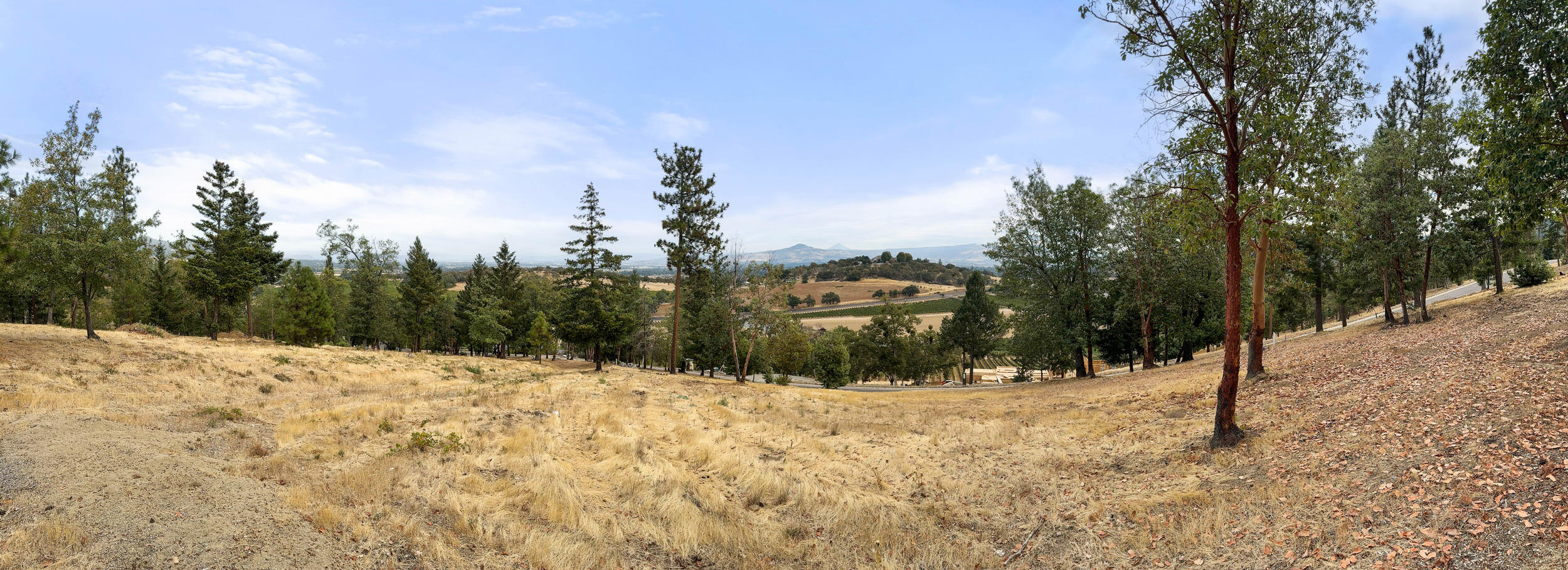 Vineyards At Stage Pass, The - Land