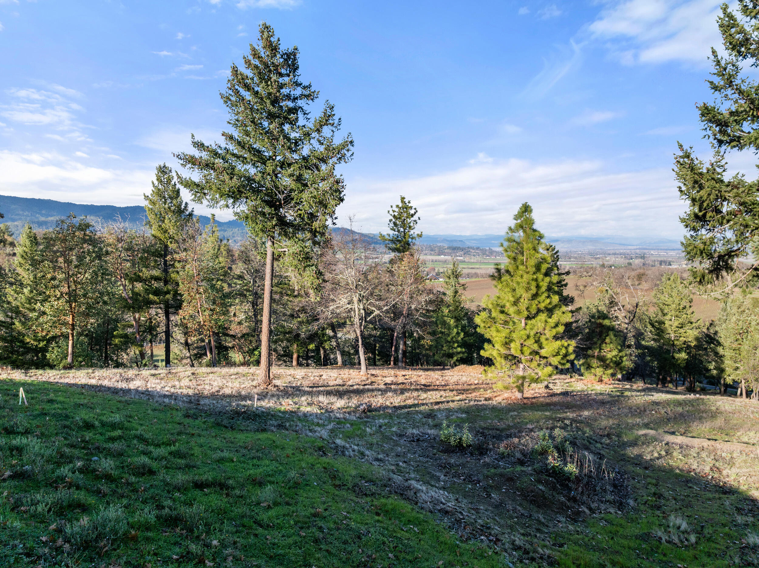 Vineyards At Stage Pass, The - Land