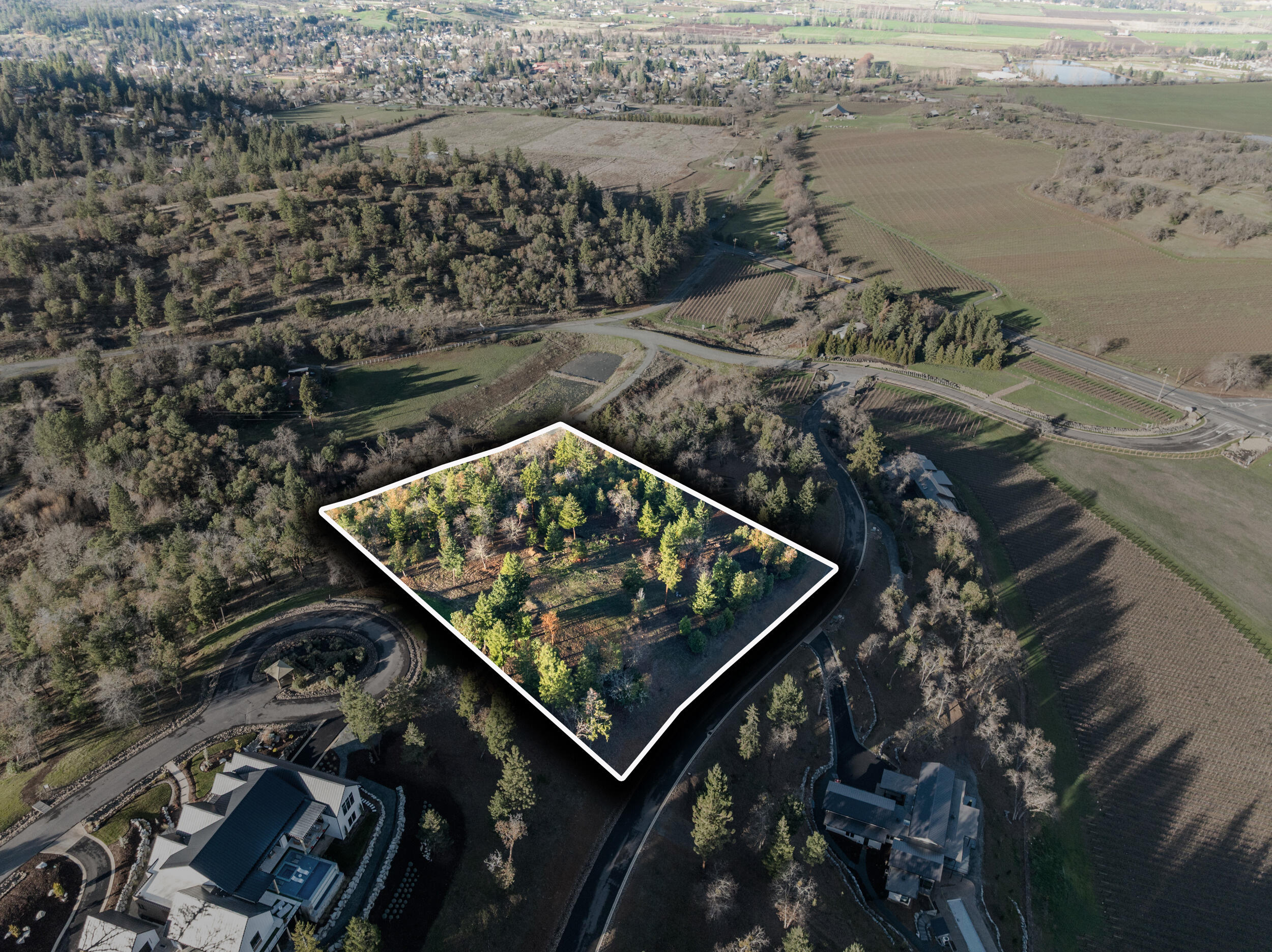 Vineyards At Stage Pass, The - Land